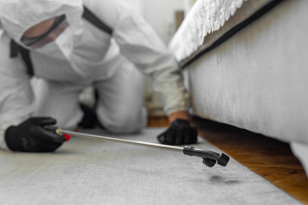 Professional Termite Control technician working in Slayton, MN